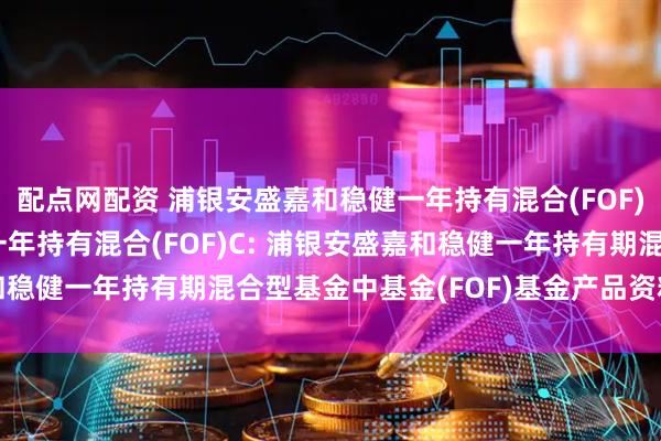 配点网配资 浦银安盛嘉和稳健一年持有混合(FOF)A,浦银安盛嘉和稳健一年持有混合(FOF)C: 浦银安盛嘉和稳健一年持有期混合型基金中基金(FOF)基金产品资料概要更新