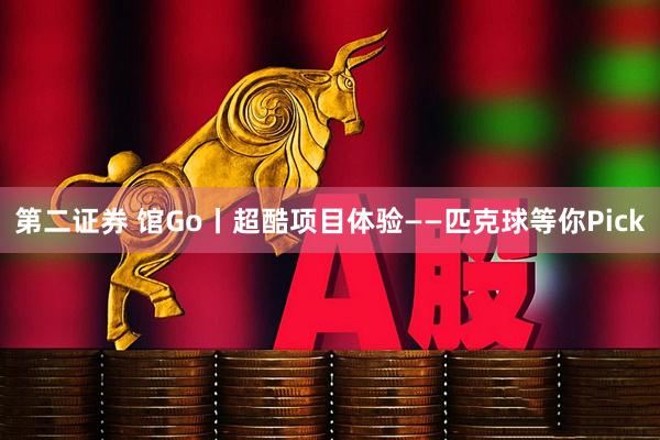 第二证券 馆Go丨超酷项目体验——匹克球等你Pick