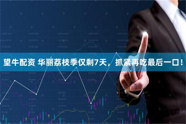 望牛配资 华丽荔枝季仅剩7天，抓紧再吃最后一口！