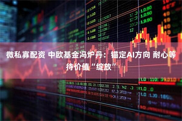 微私寡配资 中欧基金冯炉丹：锚定AI方向 耐心等待价值“绽放”