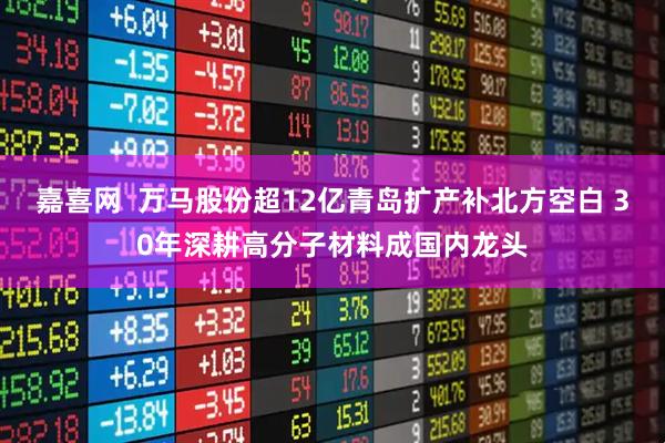 嘉喜网  万马股份超12亿青岛扩产补北方空白 30年深耕高分子材料成国内龙头
