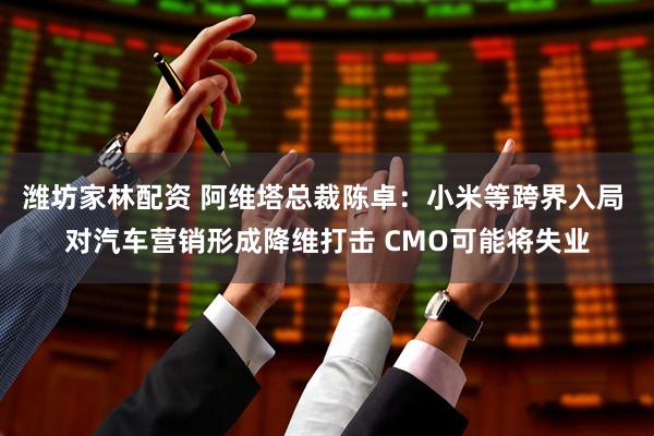潍坊家林配资 阿维塔总裁陈卓：小米等跨界入局 对汽车营销形成降维打击 CMO可能将失业