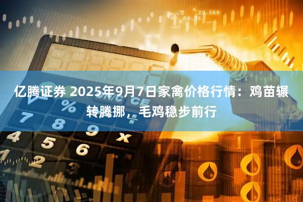 亿腾证券 2025年9月7日家禽价格行情：鸡苗辗转腾挪，毛鸡稳步前行